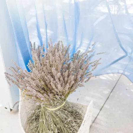 Alura アラカティ