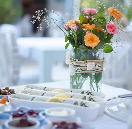 Hotel Alura 3*