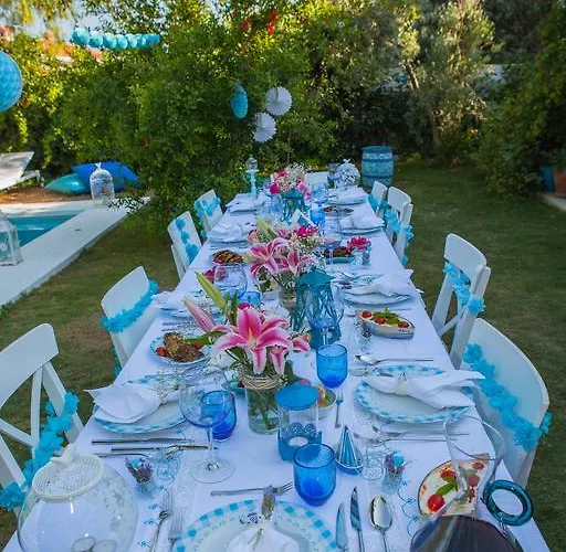 Hotel Alura 3*